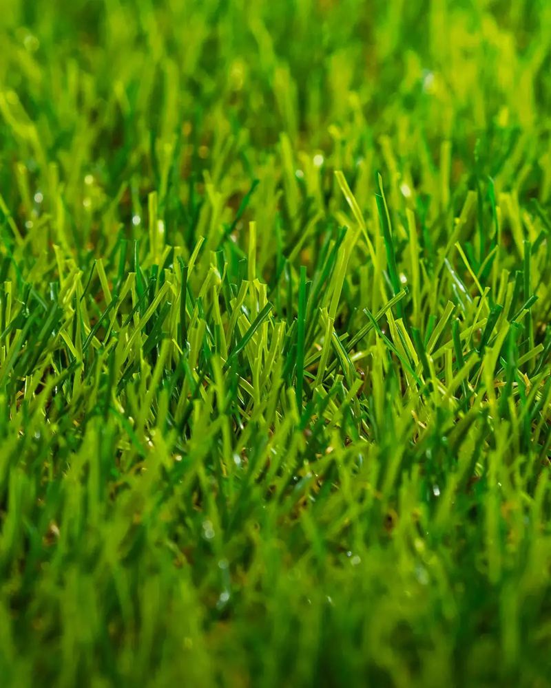 Detalle de la fibra del pasto sintético